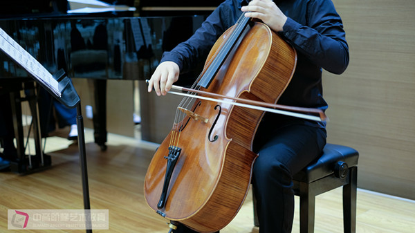 大提琴的种类及学习技巧详细讲解