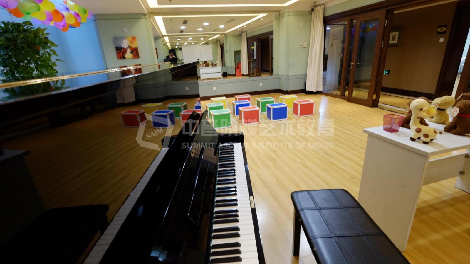 郑州钢琴高考一对一培训(北京授课)