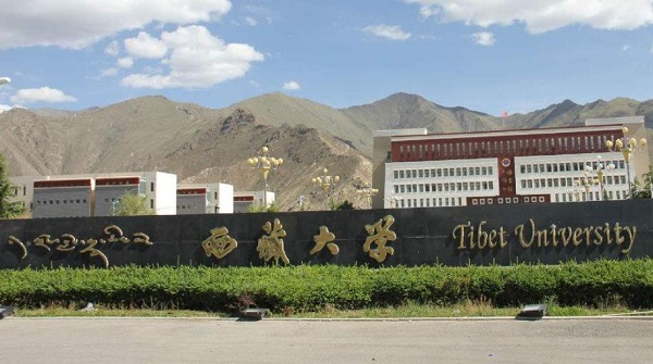 西藏音乐学校有哪些？哪个比较好？