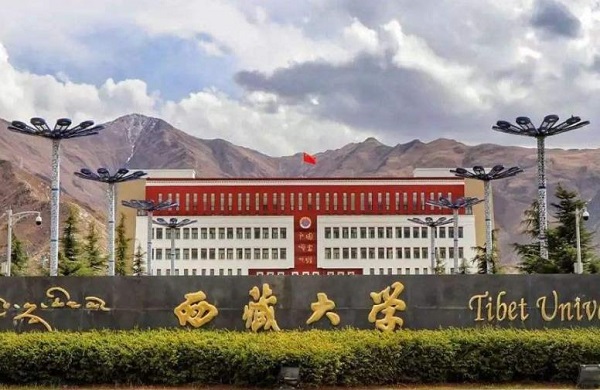 西藏大学2020年艺术类招生简章（音乐类专业）