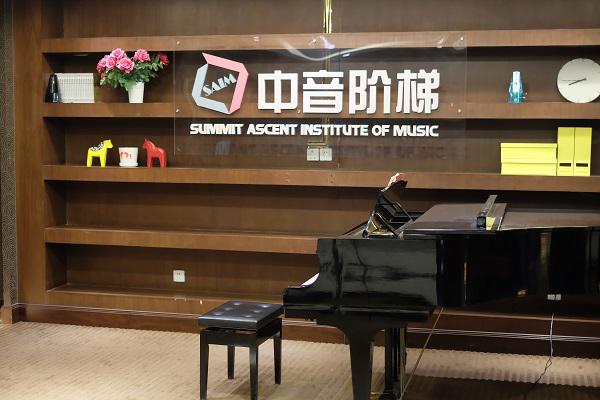 南京钢琴高考培训(北京授课)