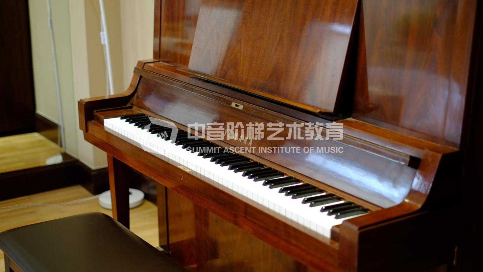 天津钢琴高考一对一培训(北京授课)
