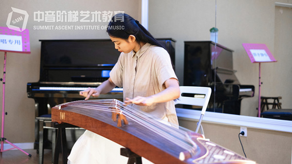 古琴和古筝的区别是什么,哪个好学?