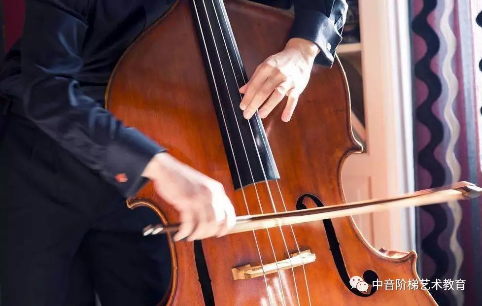 大提琴考学培训，普通人多长时间能学会？