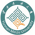 云南民族大学2020年艺术类招生简章