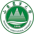 山东农业大学2021年艺术类专业招生简章