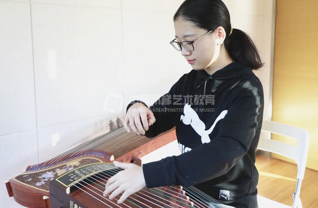 中国乐器艺考指导班