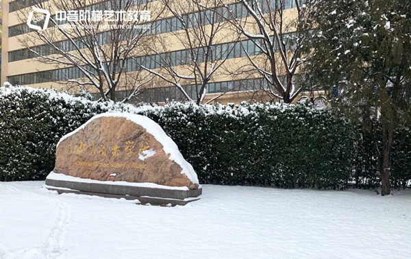 北京中央音乐学院分数线